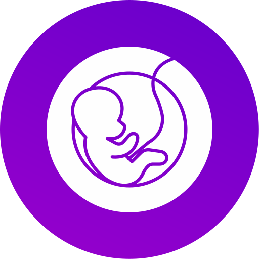 Pregnancy & Maternity Care
